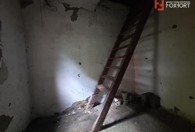 Casa individuala de vanzare cu 2 camere, in Arad, zona Lebada, Teren 280 mp - 8