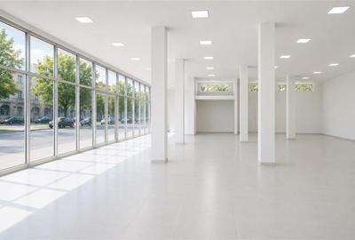 Spatiu Comercial la Bulevard | 184 mp | Zona Pacurari | Vitrina Generoasa - 4