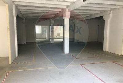 Hală de închiriat 500 mp Calea Bodrogului Arad - 2