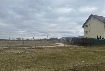 Teren Intravilan 1000 mp Rasnov - 9