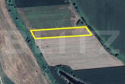 Teren Construcții intravilan de 8500 mp, în Careiului