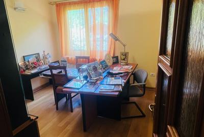 VILĂ ELEGANTĂ DE VÂNZARE LÂNGĂ BĂILE HERCULANE - 8