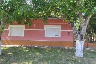 Casa cu 1500mp teren la Bobda, Jud. Timis - 3