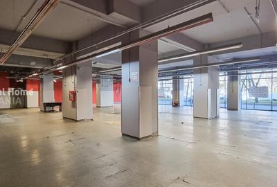 Spatiu Comercial | Ultracentral | Nicolae Titulescu | Piata Victoriei - 6