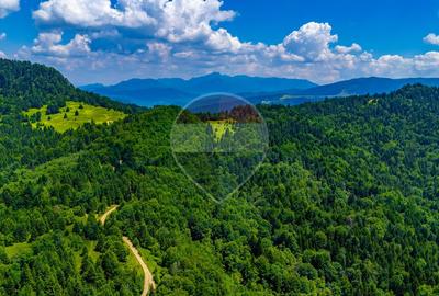 Refugiu în natură la Săcele | Teren 7.000 mp cu râu | Comision 0% - 10