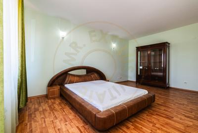 Apartament în vilă - Acces independent - Investiție & business - Nicolae Dobrin - 12