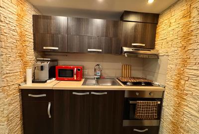 Apartament 2 Camere de Vânzare în Sinaia, Lângă Castelul Peleș, Mobilat, Utilat - 11