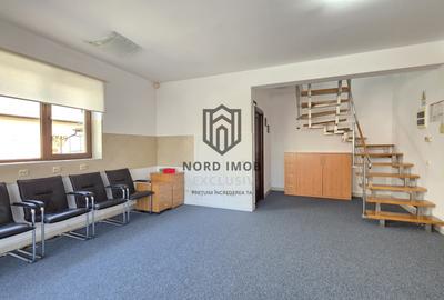 Duplex reprezentativ pentru birouri–4 camere | Recent renovat | 2 locuri parcare - 11