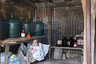 Domeniu rural, gospodarie/multifunctionala cu casa, livada, vie - 16