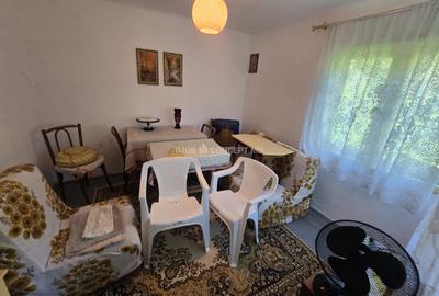Vanzare Casuta pitoreasca la padure, teren 3159mp, in Gogeasca - 3