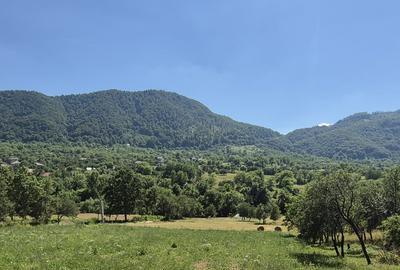 Casă de vacanță cu teren 39 ari | Măgureni, Maramureș | Priveliște panoramică | - 6