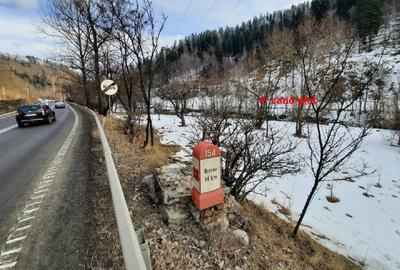 De vanzare teren intravilan 4.500 mp, Timisul de Jos, langa DN1 si PETROM - 4