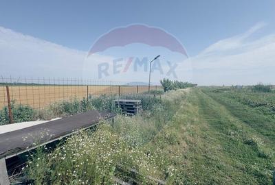 Teren agricol 16.750mp în Cârcea, imprejmuit, cultura capsuni, solarii - 10