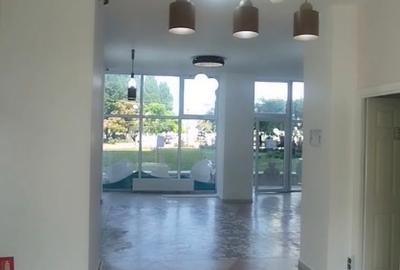 Spatiu Comercial Zona Far - 11