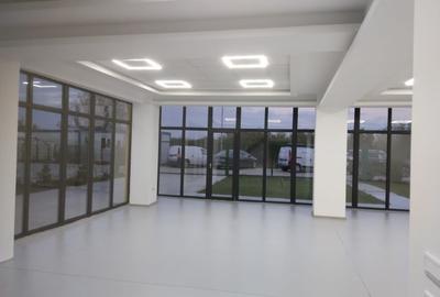 Zona Drumul Intre Tarlale - Catelu - hala cu birouri si showroom - 2
