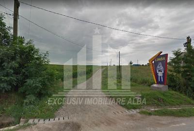 Teren extravilan | Agricol | 8000 mp | 14 ml deschidere | Limba - 1