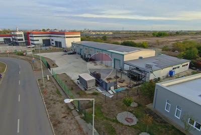 Hală în parc industrial Borș 1, teren 2.903 mp, de vânzare - 53