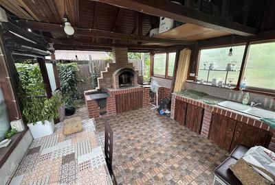 Casa de vanzare P+M cu teren 3300 mp, Hidiselu de sus - 14