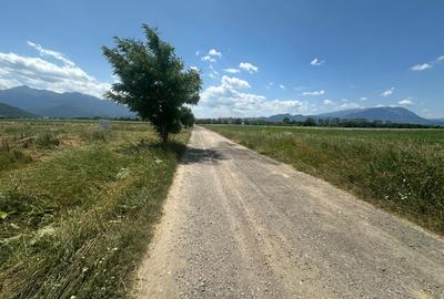 Teren de 5000 mp, în Râșnov Romacril
