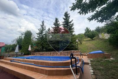 Leamna de sus, casa cu piscina, 2000mp - 8
