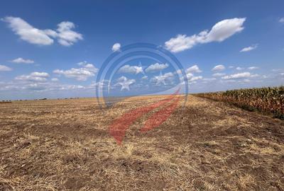 Teren intravilan de vanzare in Pielesti - 5