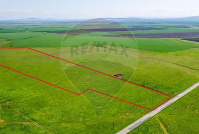 Teren agricol extravilan de 50000 mp, în Exterior Nord