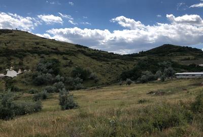 Teren agricol extravilan de 500000 mp, în Tohani