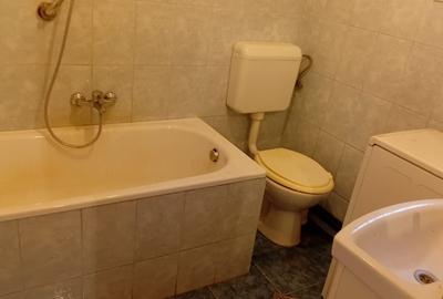 Vanzare Casa in localitatea Bodrogu Nou - 18