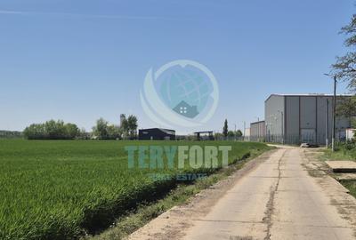 Teren intravilan- hale depozitare, industrie , servicii, comert- A 0 -  Afumați - 12