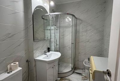 Inchiriere 2 camere-Unirii - 10