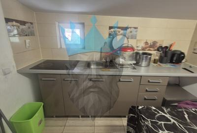 Apartament 2 Camere in vila Andronache Bucuresti - 3