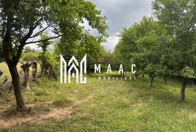 Teren extravilan de 2000 mp, în Rășinari