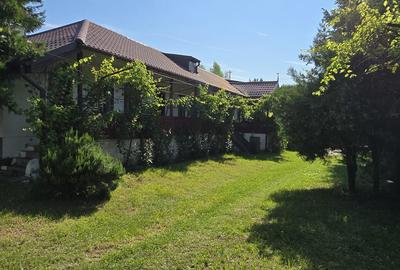 Vanzare vila P+1+M cu 5 camere, casa batraneasca , 2 garaje, teren 9249mp, - 19