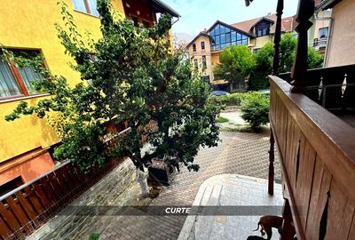 Casă individuala, cu 6 camere 250m2/ 423m2 teren zona parc Baia Mare - 10