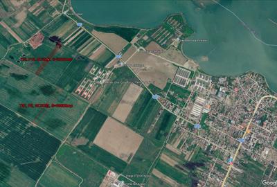 Mihailesti-ferma CocoRico-extravilan agricol - 3