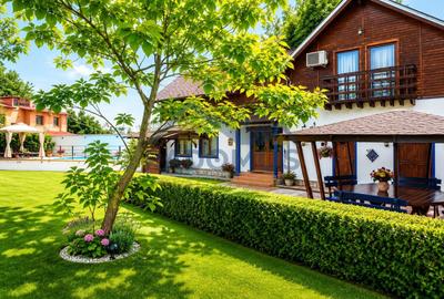 Proprietate Premium | 2 Case | Piscină | Teren 2.000 mp | Mobilată - 15