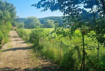 Teren Extravilan/Padure 90 000 Mp de Vanzare Zona Corunca/Acatari - 5