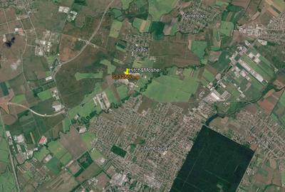 Teren intravilan 32.800 mp Dumbrăvița-Covaci | hale / investiție - 11
