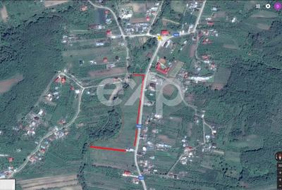 Teren intravilan 21.000 mp de vânzare – Suseni, Comuna Bogați, Județul Argeș - 1