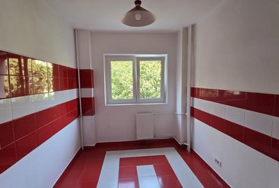 Teiul Doamnei, apart 4 cam et 2 1982 - 5