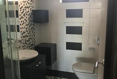 Birou de inchiriat langa Parcul Herastrau - Penthouse cu terasa - 12
