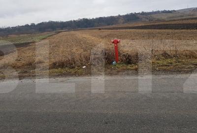 Teren Construcții intravilan de 4000 mp, în Jucu