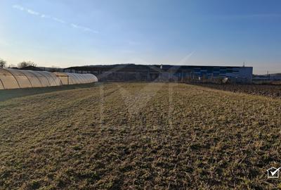 Teren Construcții intravilan de 3500 mp, în Apahida
