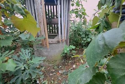RECO  casa batraneasca Salard - 2