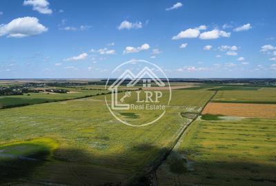 Teren Intravilan 9.918 mp Creața Dascălu, T66– Parcelabil - 6