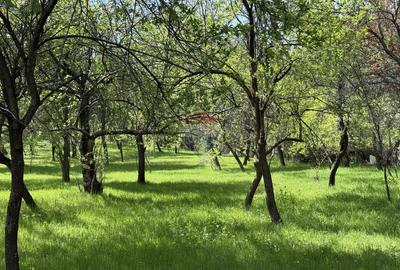 Casă de vânzare în zona Câmpulung înconjurată de natura - 12