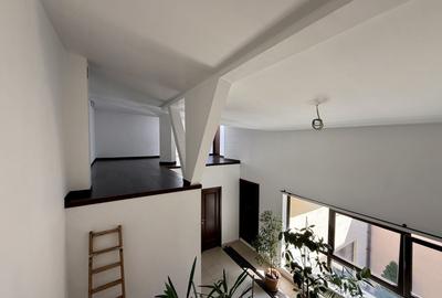 SPATIU COMERCIAL | DOMENII | 300 MP | 180 MP CURTE - 10