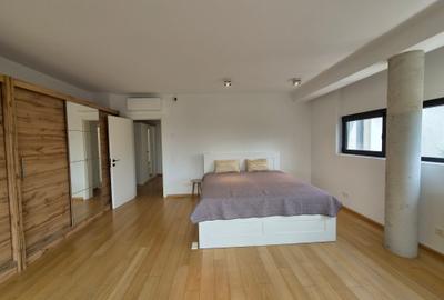 Inchiriere vila moderna Iancu Nicolae - 23