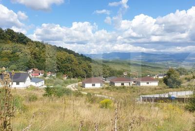 Teren Construcții extravilan de 785 mp, în Nord