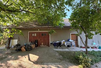 CASA PLAN PARTER | TEREN 620 MP | ACCES AUTO | ZONA SANTAUL MARE | BIHOR - 18